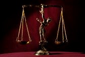 Закон о содержании собак
