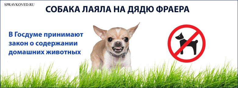 Закон о домашних животных в россии