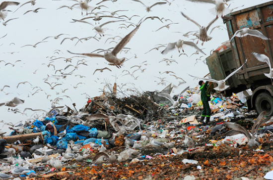 Заводы по переработке мусора в россии
